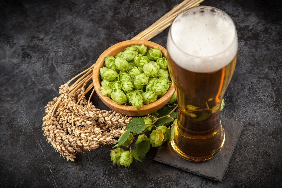 A Guide To Dry Hopping