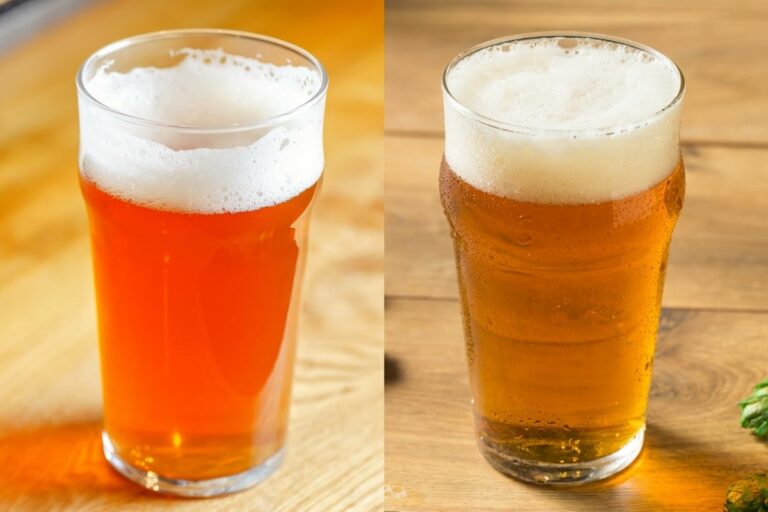 Pale Ale Vs IPA Is There Really A Difference?