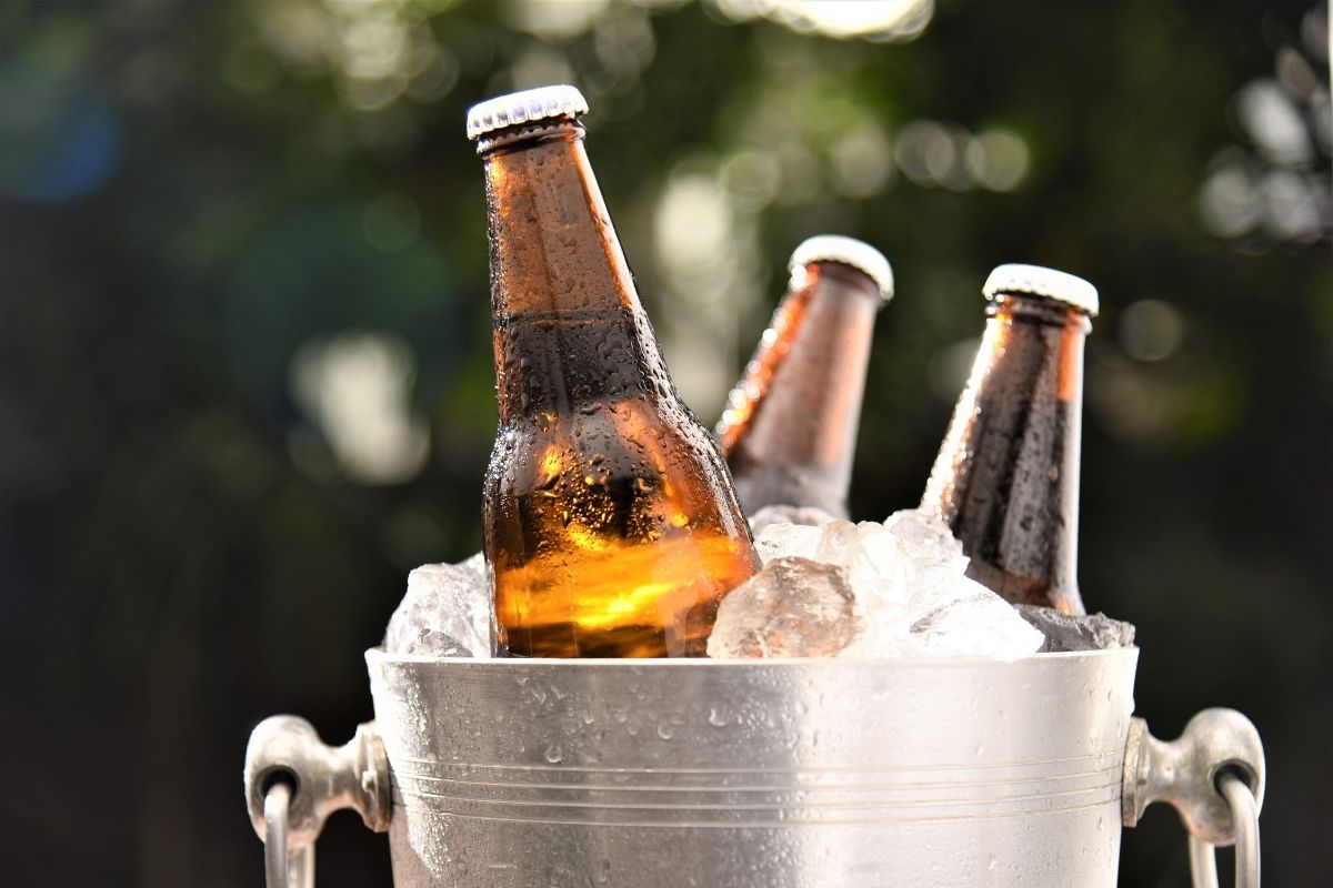 Which Beer Has The Most Protein?